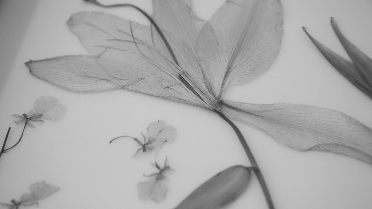 二階堂ふみが撮る「ひと」、「世界」。