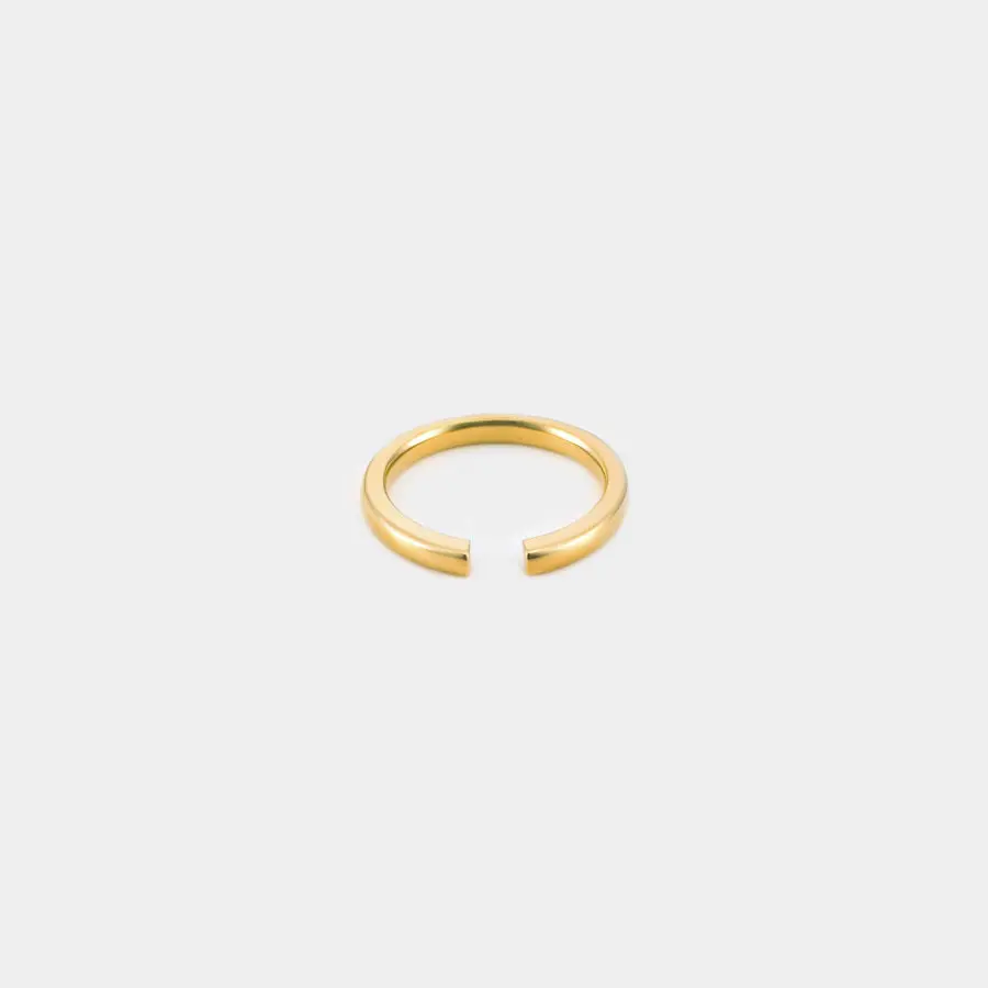 Fiducia ring 2mm | 1117 - official site